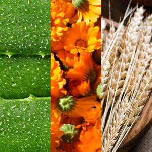 SHAMPOO CONTROL PSORIASIS TRATAMIENTO PARA 3 MESES